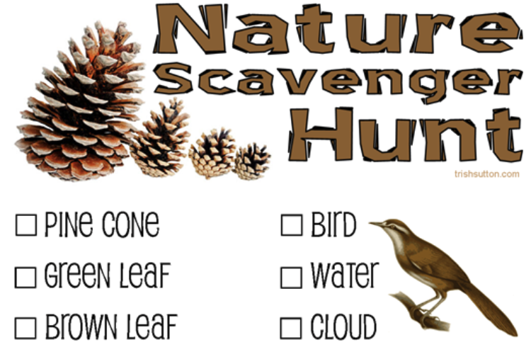 Discover the Adventure of Nature Scavenger Hunts